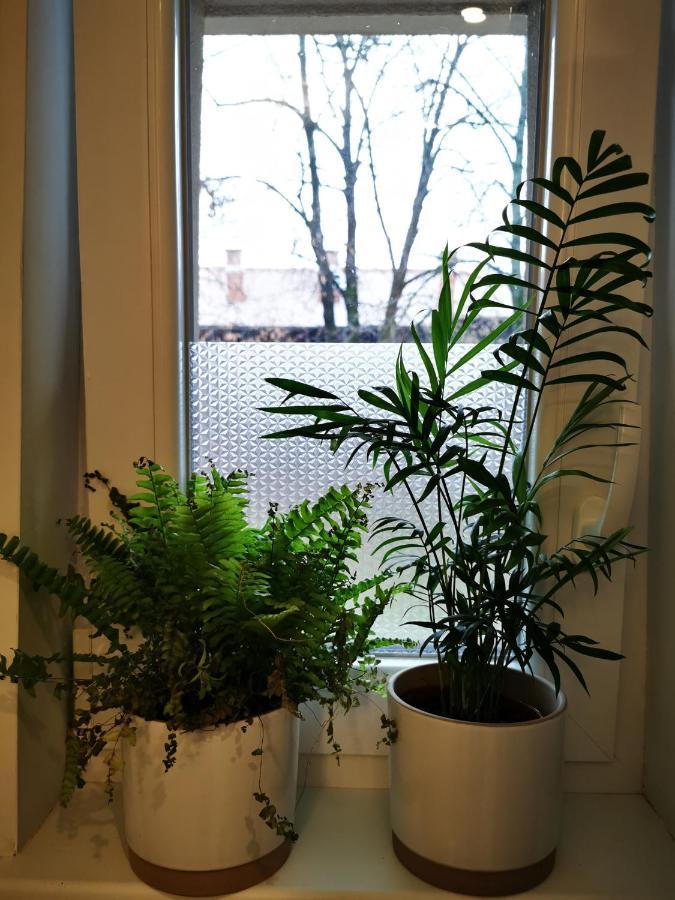 Angela Apartment Zágráb Kültér fotó